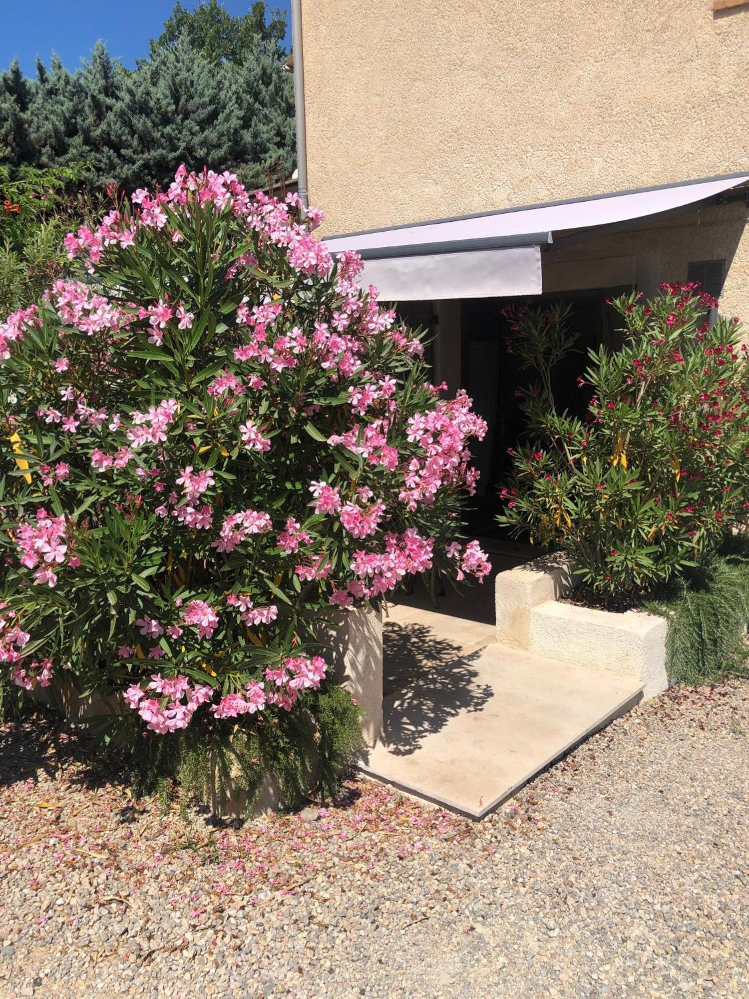 Le Cocon De Provence Apartment Fayence Exterior foto
